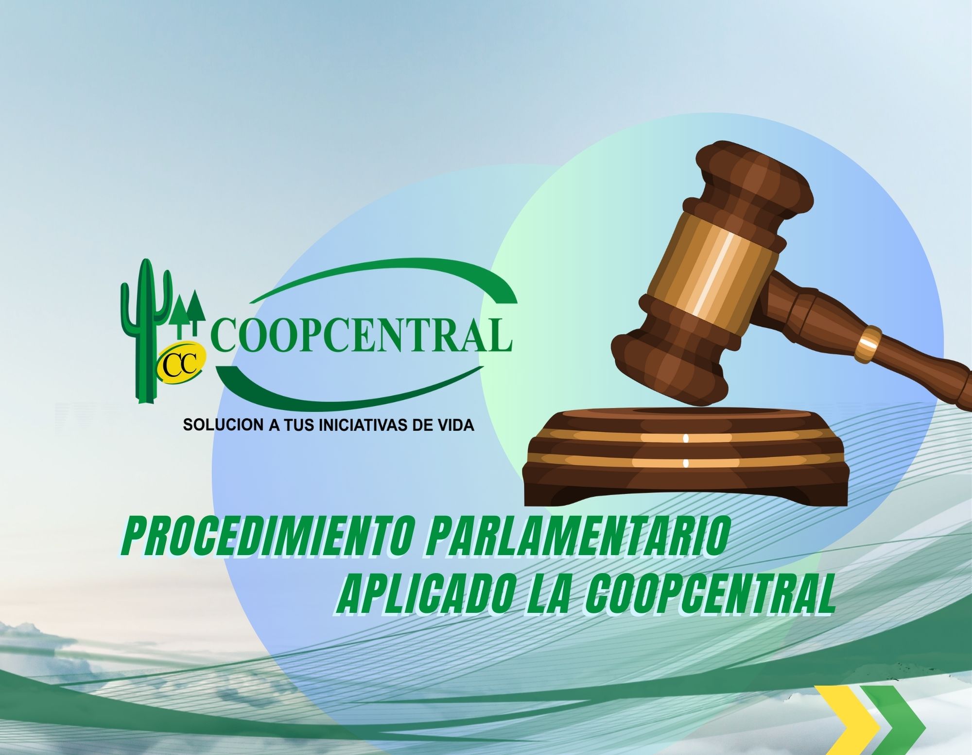 PROCEDIMIENTO PARLAMENTARIO APLICADO EN LA COOPCENTRAL