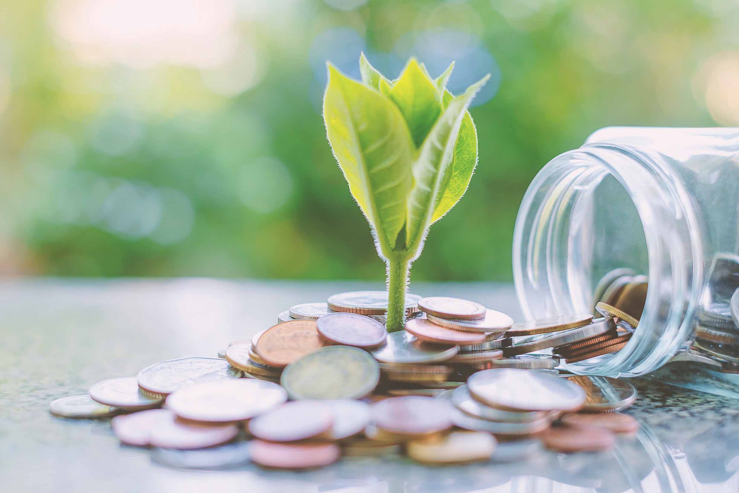 Plant growing from coins outside the glass jar on blurred green natural background for business and financial growth concept